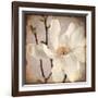 Paper Magnolia Closeup-LightBoxJournal-Framed Giclee Print