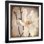 Paper Magnolia Closeup-LightBoxJournal-Framed Giclee Print