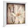 Paper Magnolia Closeup-LightBoxJournal-Framed Giclee Print