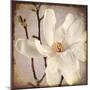Paper Magnolia Closeup-LightBoxJournal-Mounted Giclee Print