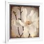 Paper Magnolia Closeup-LightBoxJournal-Framed Giclee Print