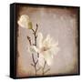 Paper Magnolia Duo-LightBoxJournal-Framed Stretched Canvas