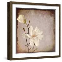 Paper Magnolia Duo-LightBoxJournal-Framed Giclee Print