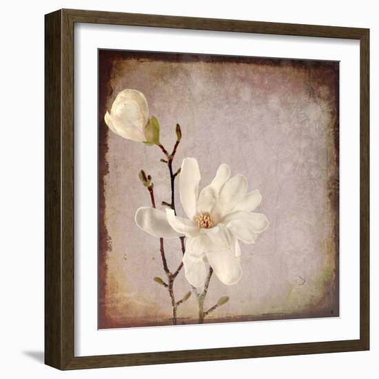 Paper Magnolia Duo-LightBoxJournal-Framed Giclee Print