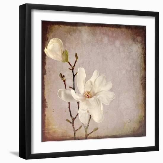 Paper Magnolia Duo-LightBoxJournal-Framed Giclee Print