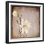 Paper Magnolia Duo-LightBoxJournal-Framed Giclee Print