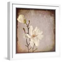 Paper Magnolia Duo-LightBoxJournal-Framed Giclee Print