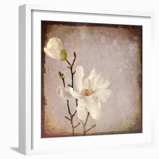 Paper Magnolia Duo-LightBoxJournal-Framed Giclee Print