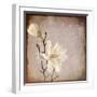 Paper Magnolia Duo-LightBoxJournal-Framed Giclee Print