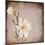 Paper Magnolia Duo-LightBoxJournal-Mounted Giclee Print