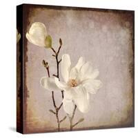 Paper Magnolia Duo-LightBoxJournal-Stretched Canvas