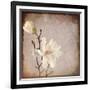 Paper Magnolia Duo-LightBoxJournal-Framed Giclee Print