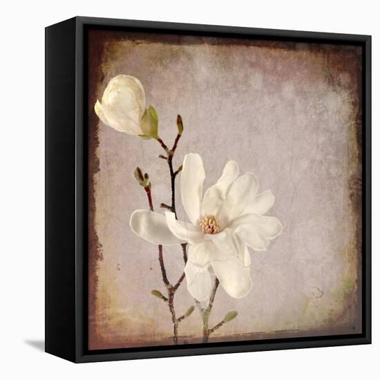 Paper Magnolia Duo-LightBoxJournal-Framed Stretched Canvas