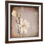 Paper Magnolia Duo-LightBoxJournal-Framed Giclee Print