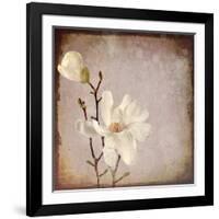 Paper Magnolia Duo-LightBoxJournal-Framed Giclee Print