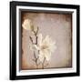 Paper Magnolia Duo-LightBoxJournal-Framed Giclee Print