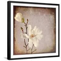 Paper Magnolia Duo-LightBoxJournal-Framed Giclee Print