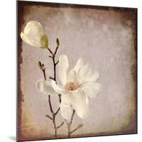 Paper Magnolia Duo-LightBoxJournal-Mounted Giclee Print