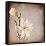 Paper Magnolia Duo-LightBoxJournal-Framed Stretched Canvas