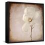 Paper Magnolia-LightBoxJournal-Framed Stretched Canvas