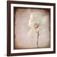 Paper Magnolia-LightBoxJournal-Framed Giclee Print