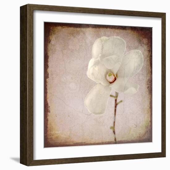 Paper Magnolia-LightBoxJournal-Framed Giclee Print