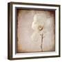 Paper Magnolia-LightBoxJournal-Framed Giclee Print