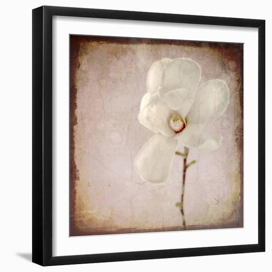 Paper Magnolia-LightBoxJournal-Framed Giclee Print