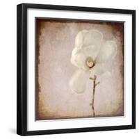 Paper Magnolia-LightBoxJournal-Framed Giclee Print