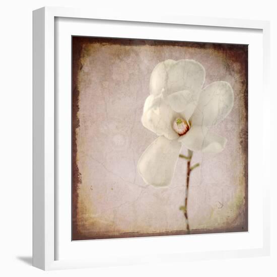 Paper Magnolia-LightBoxJournal-Framed Giclee Print