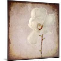 Paper Magnolia-LightBoxJournal-Mounted Giclee Print