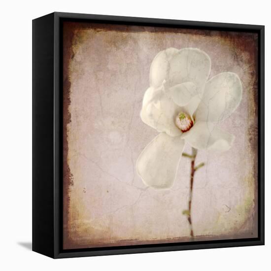 Paper Magnolia-LightBoxJournal-Framed Stretched Canvas