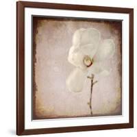 Paper Magnolia-LightBoxJournal-Framed Giclee Print