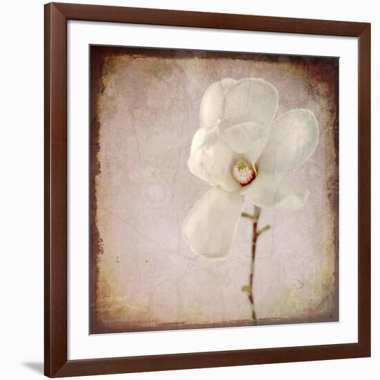 Paper Magnolia-LightBoxJournal-Framed Giclee Print