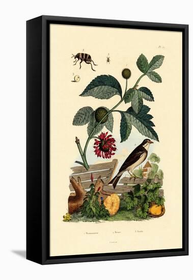 Paper Mulberry, 1833-39-null-Framed Stretched Canvas