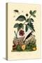 Paper Mulberry, 1833-39-null-Stretched Canvas