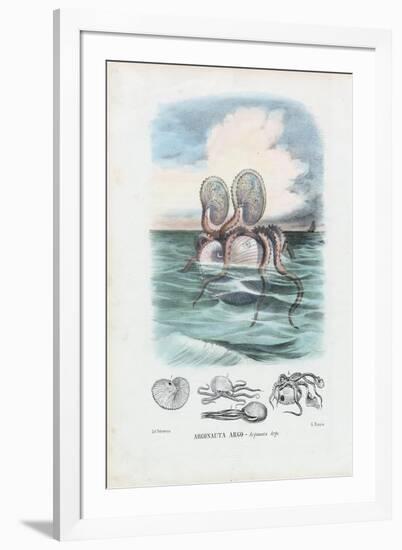 Paper Nautilus, 1863-79-Raimundo Petraroja-Framed Giclee Print