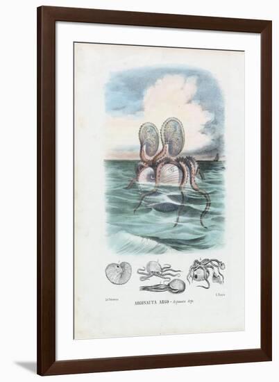 Paper Nautilus, 1863-79-Raimundo Petraroja-Framed Giclee Print