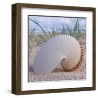 Paper Nautilus-Mark Goodall-Framed Art Print