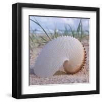 Paper Nautilus-Mark Goodall-Framed Art Print