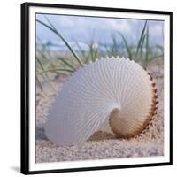 Paper Nautilus-Mark Goodall-Framed Premium Giclee Print