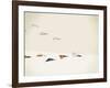 Paper Planes-Jason Ratliff-Framed Giclee Print