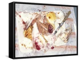 Paper Plate with Half-eaten Cake-Jo Kirchherr-Framed Stretched Canvas