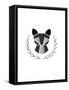 Paper Taxidermy Raccoon-null-Framed Stretched Canvas