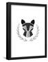 Paper Taxidermy Raccoon-null-Framed Poster
