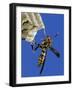 Paper Wasp Adult on Nest, Texas, Usa, May-Rolf Nussbaumer-Framed Photographic Print