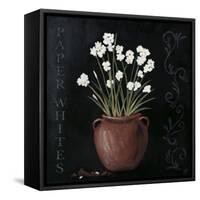 Paper Whites-Jade Reynolds-Framed Stretched Canvas