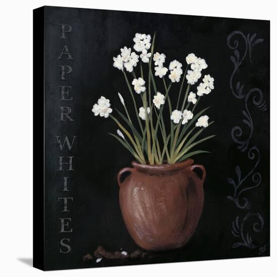 Paper Whites-Jade Reynolds-Stretched Canvas