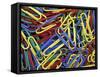 Paperclips, Washington, USA-null-Framed Stretched Canvas