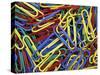 Paperclips, Washington, USA-null-Stretched Canvas